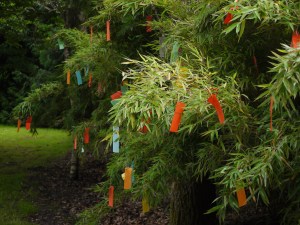 Tanzaku, önskingarna, vaggar i vinden på bambun