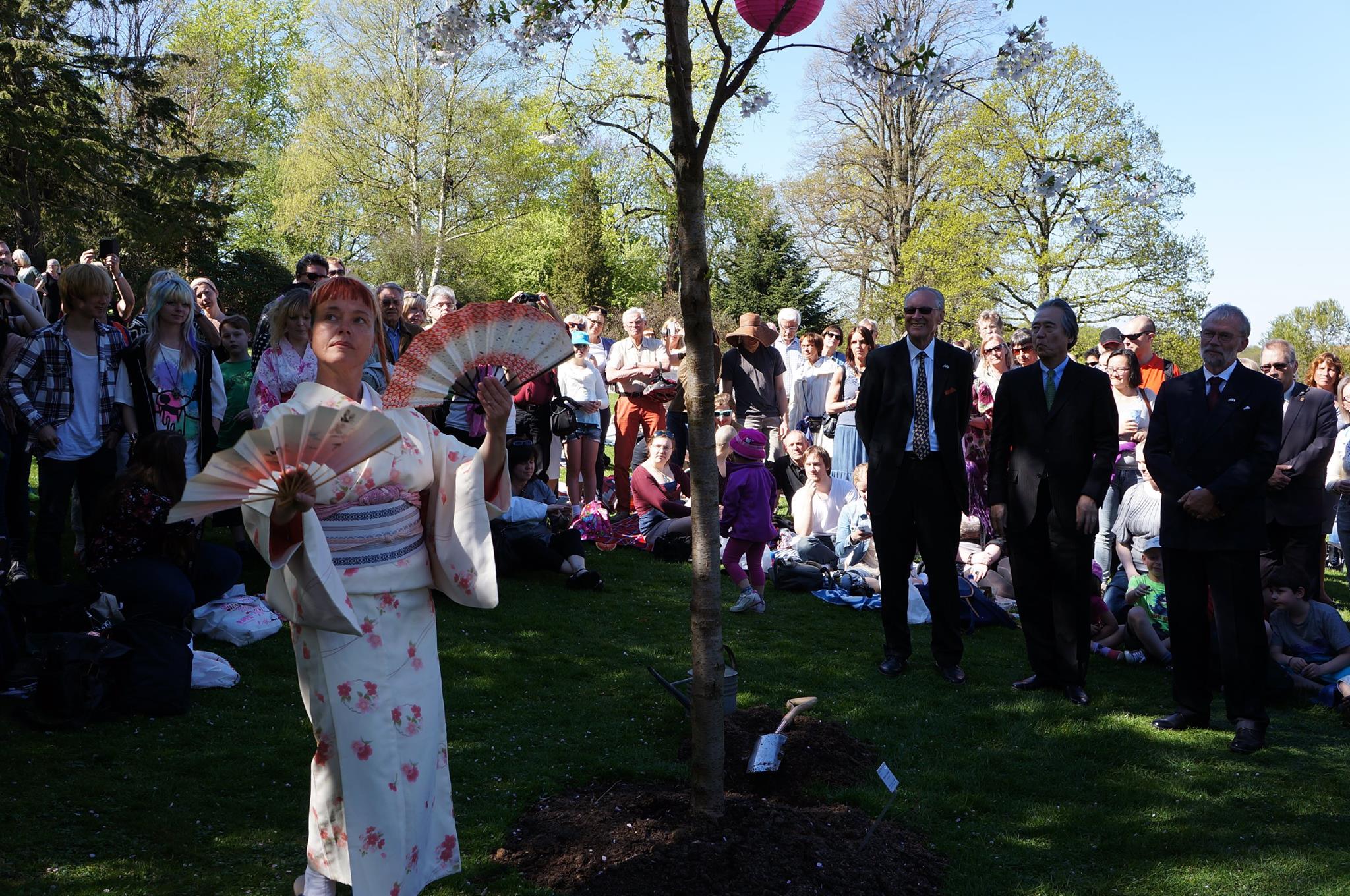 AmidansPeterAndersson