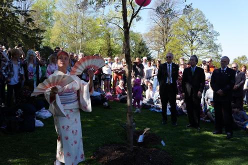 AmidansPeterAndersson