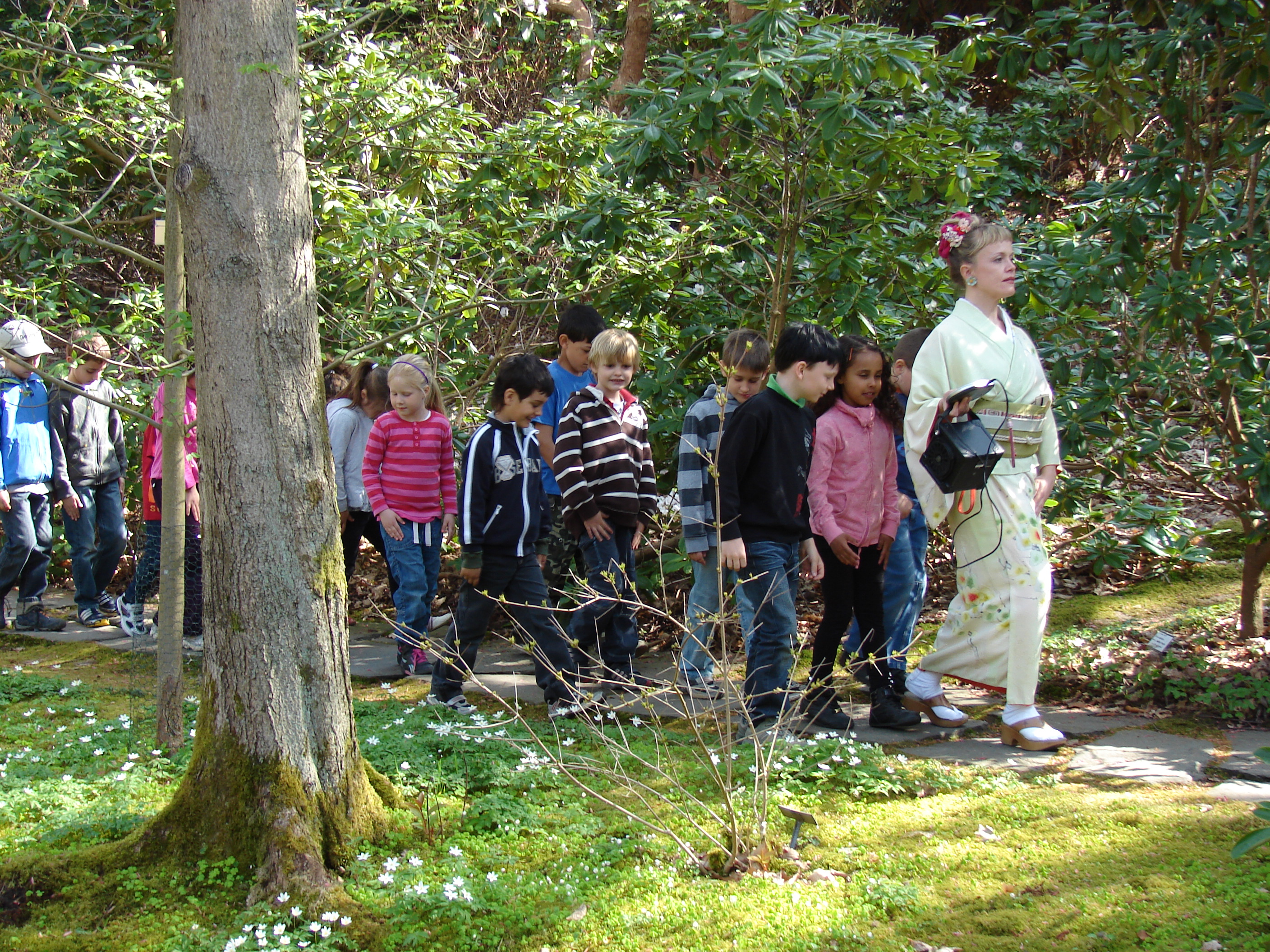 Japandalenbarnsuriashi