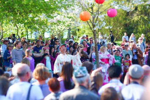 JohanLagerqvists bild